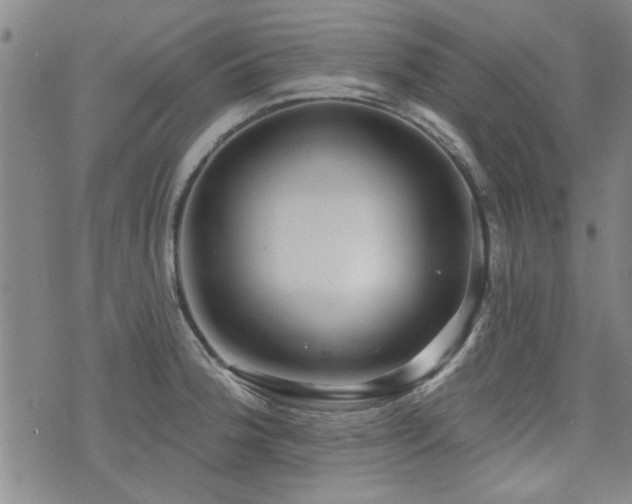 X0000072941188200607211054