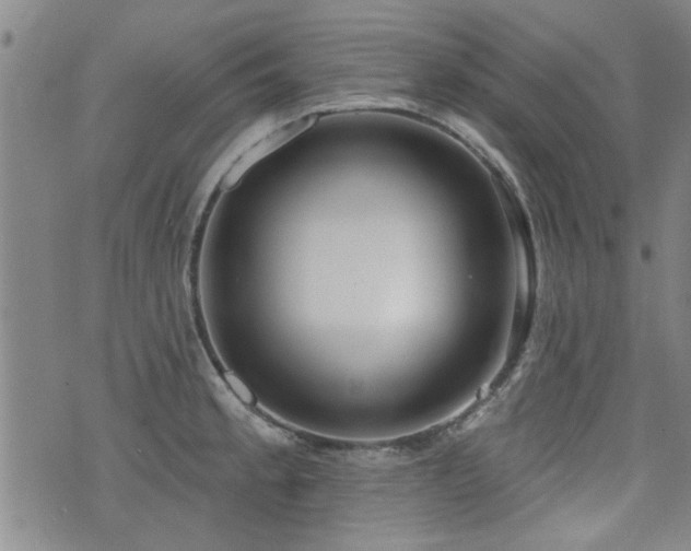 X0000072941189200607211054