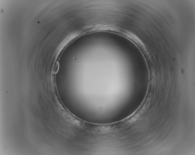 X0000072941190200607211054