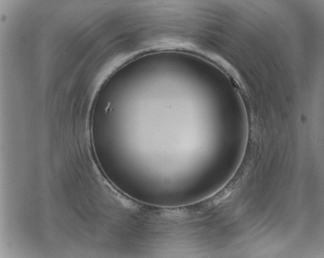 X0000072941191200607211054