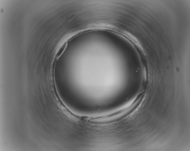 X0000072941192200607211054