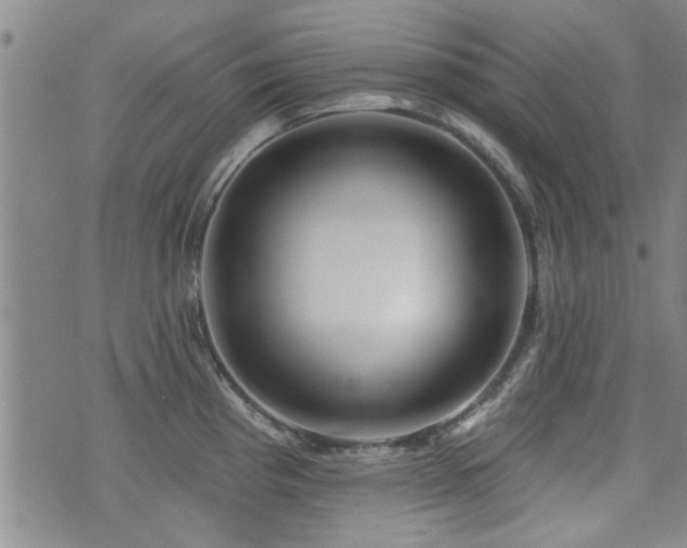 X0000072941193200607211054