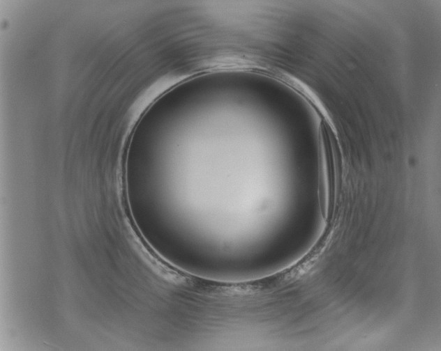 X0000072941195200607211054