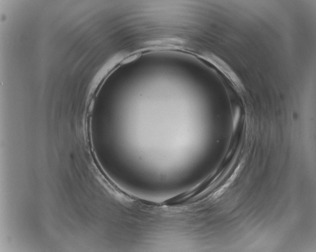 X0000072941196200607211054