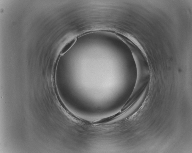 X0000072941197200607211054