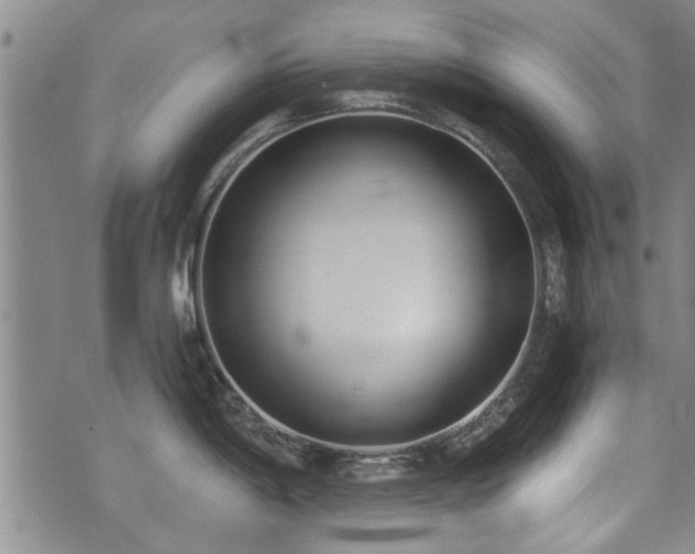 X0000072941198200607211054