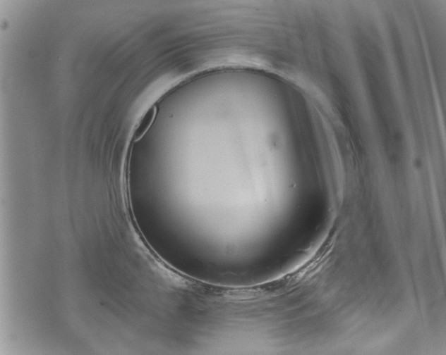 X0000072941199200607211054