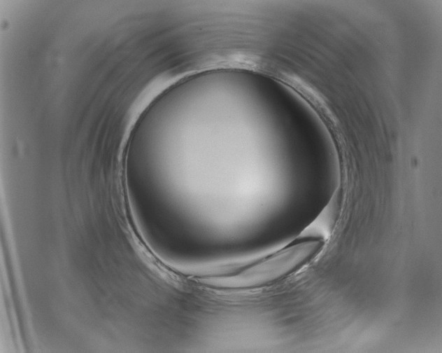 X0000072941200200607211054