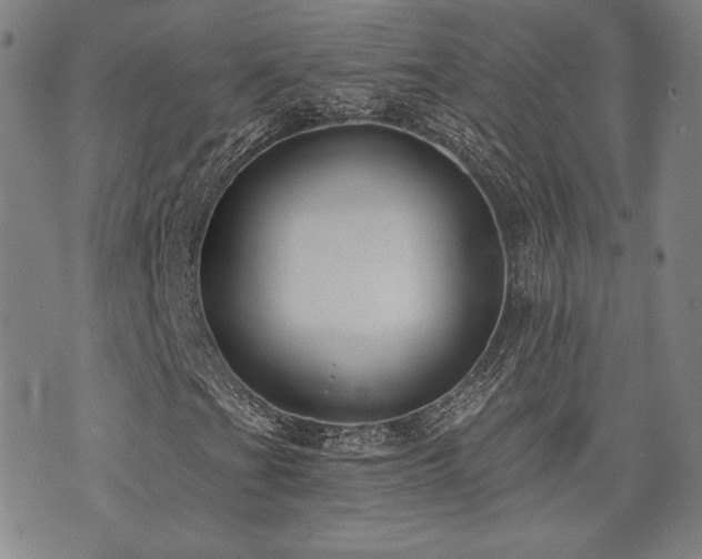 X0000072941201200607211053