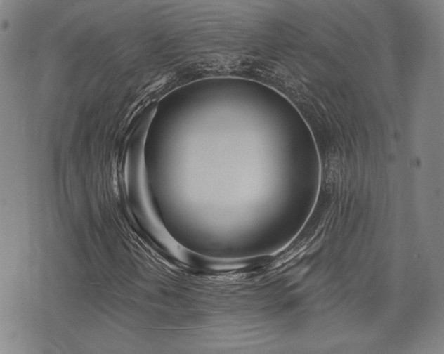 X0000072941202200607211053