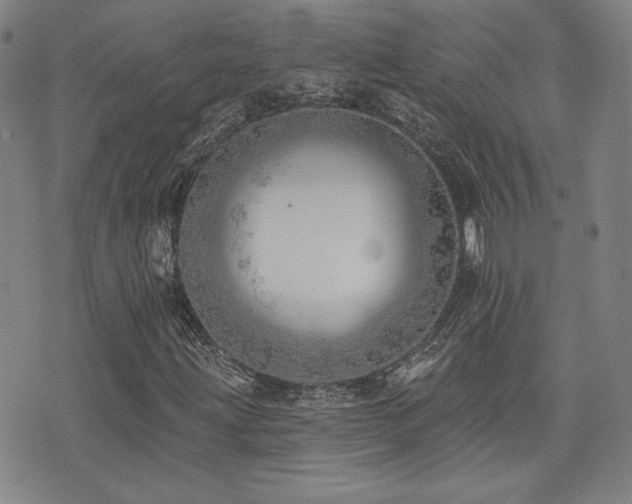 X0000072941203200607211053