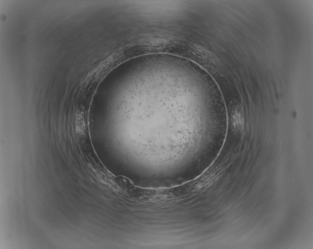 X0000072941204200607211053