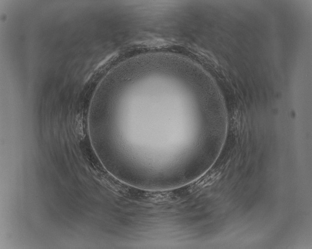 X0000072941205200607211053