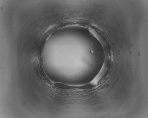 X0000072941206200607211053