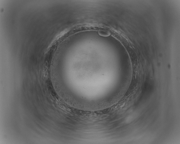 X0000072941207200607211053