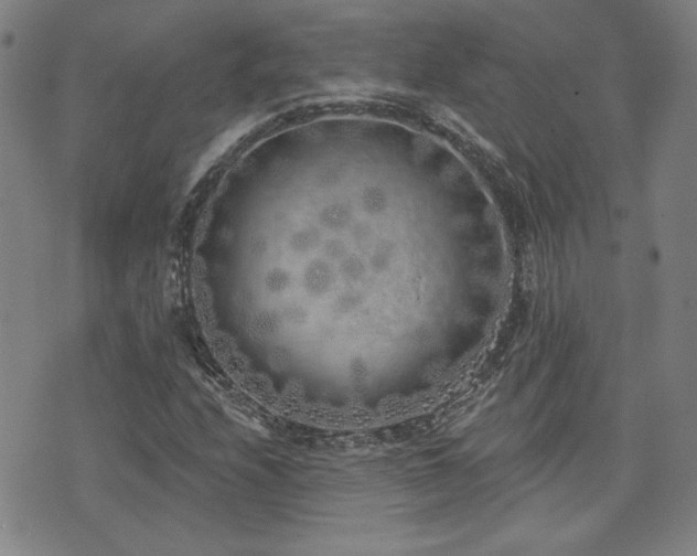 X0000072941208200607211053