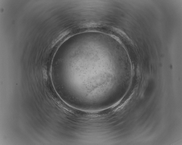 X0000072941209200607211053