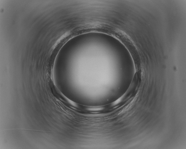 X0000072941210200607211053