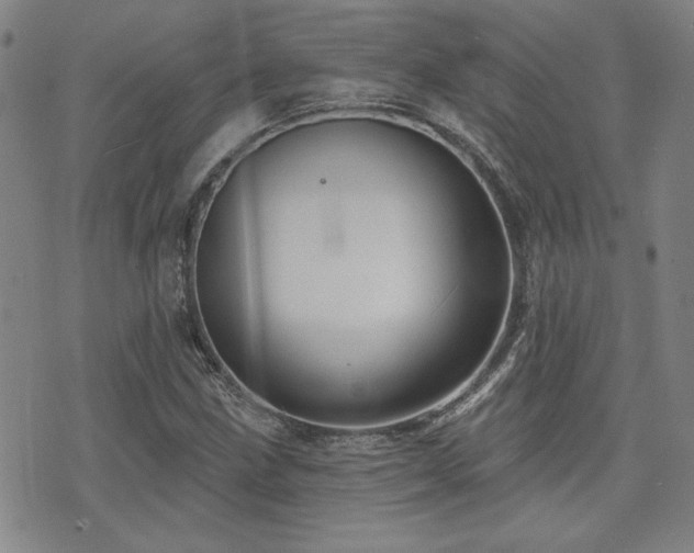 X0000072941211200607211053