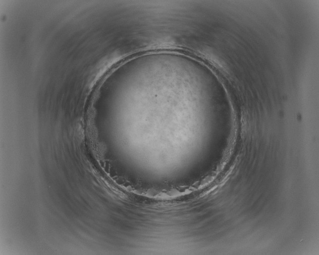 X0000072941212200607211053