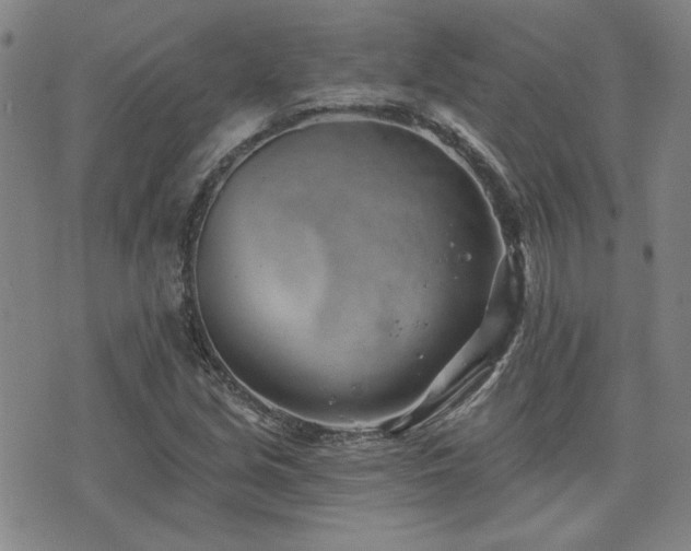 X0000072941213200607211053