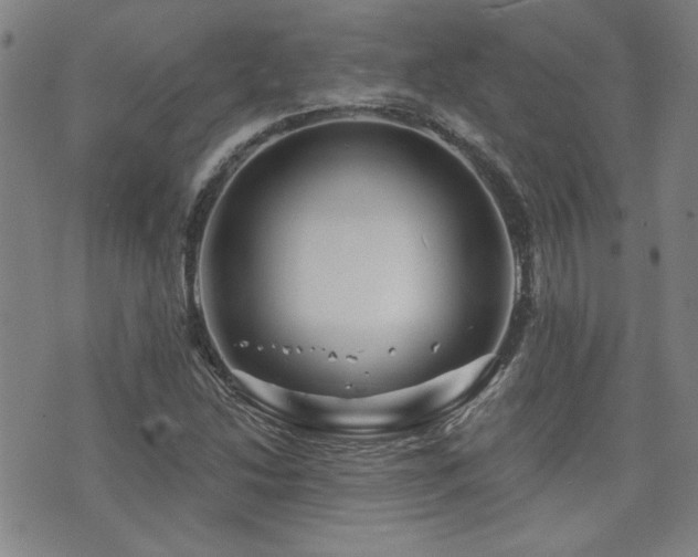 X0000072941214200607211053