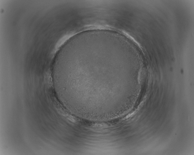 X0000072941215200607211053