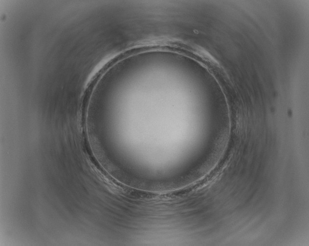 X0000072941216200607211053