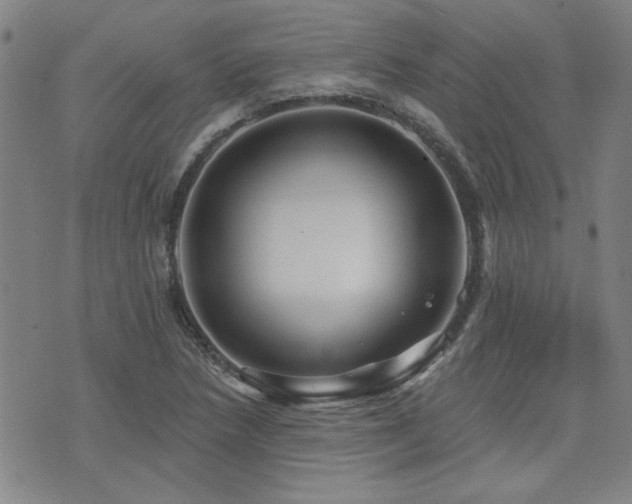 X0000072941218200607211053