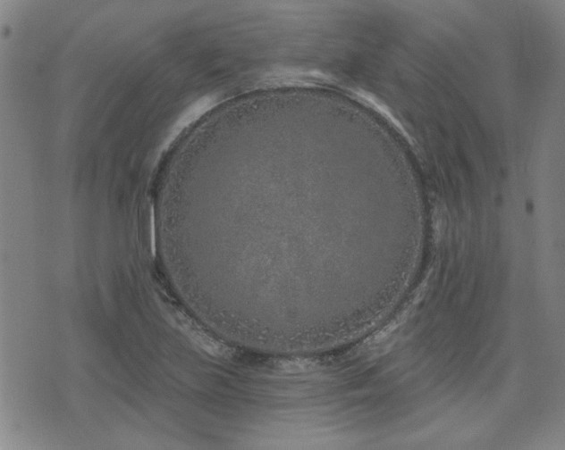 X0000072941219200607211053