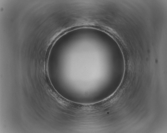 X0000072941220200607211053