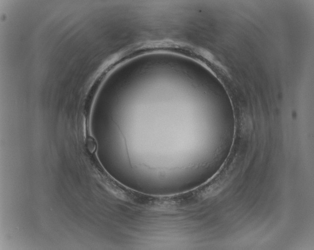 X0000072941221200607211053