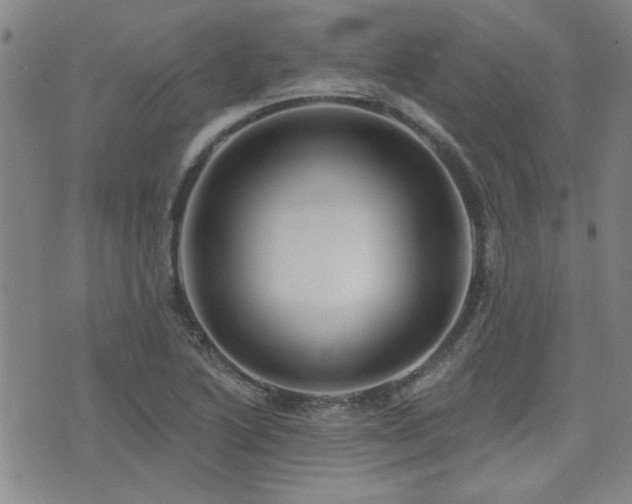 X0000072941222200607211053