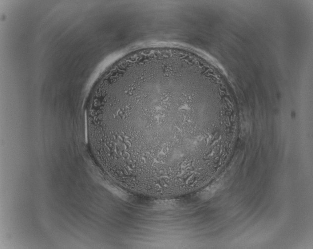 X0000072941223200607211053