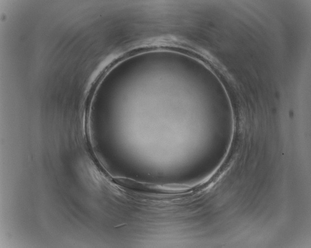 X0000072941224200607211053