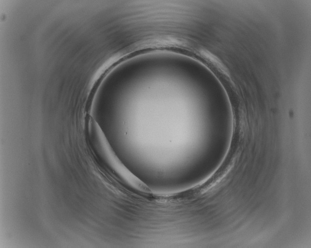 X0000072941226200607211053