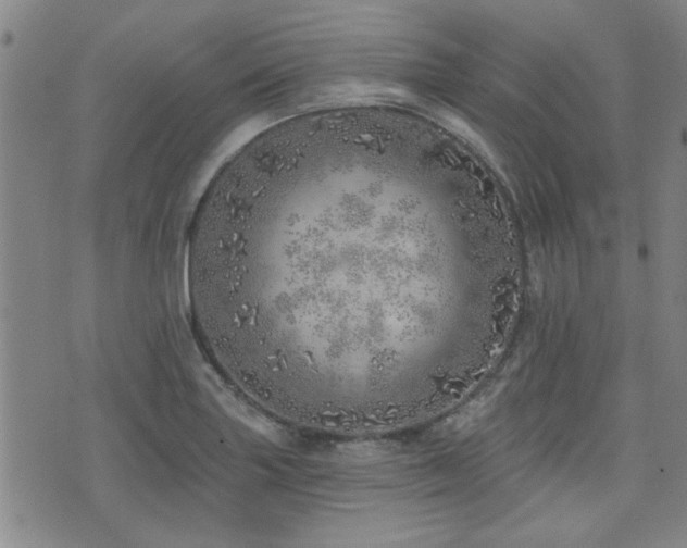 X0000072941227200607211053