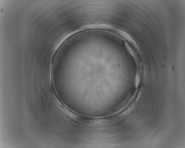 X0000072941228200607211053