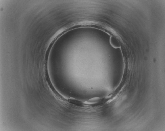 X0000072941229200607211053