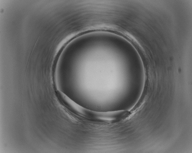 X0000072941230200607211053