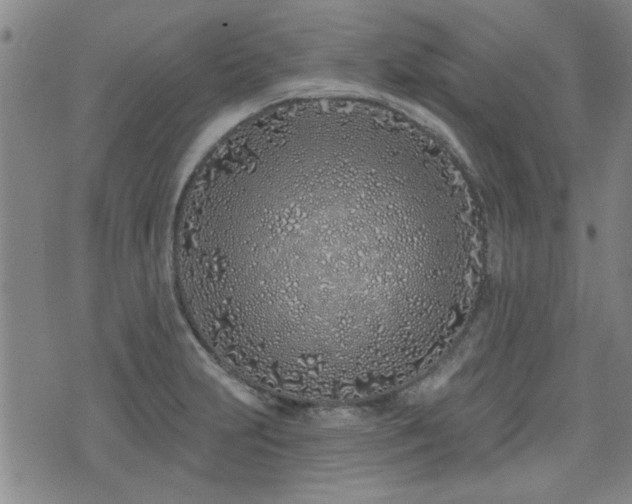 X0000072941231200607211053