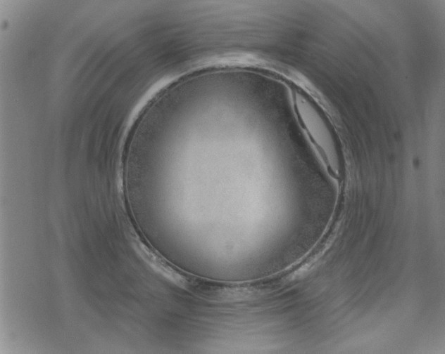 X0000072941232200607211053