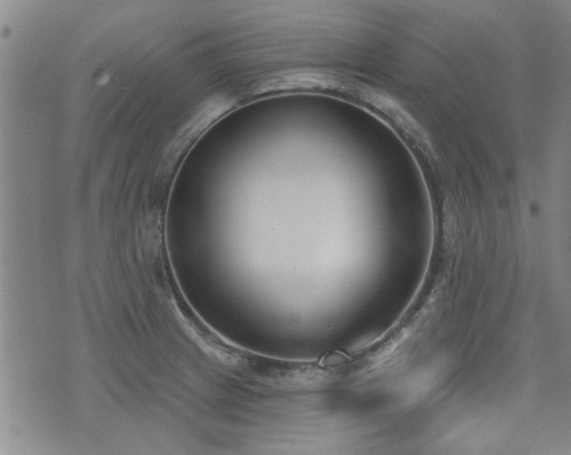 X0000072941233200607211053