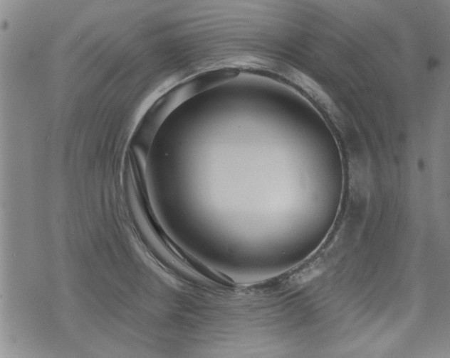 X0000072941234200607211053