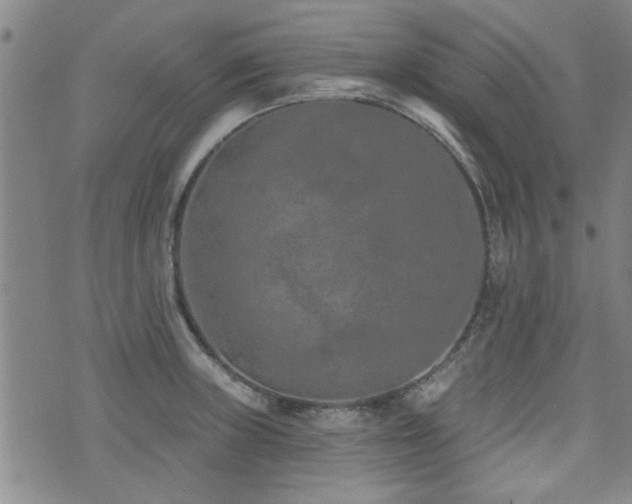 X0000072941235200607211053