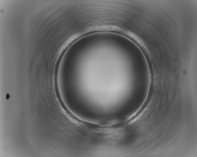 X0000072941237200607211053