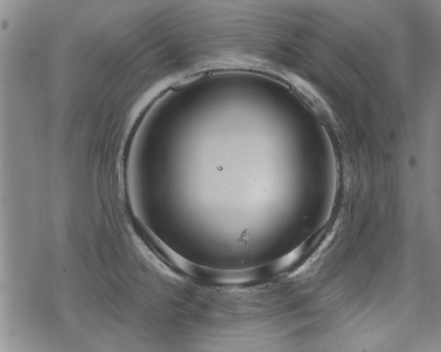 X0000072941238200607211053