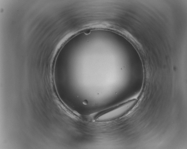 X0000072941240200607211053