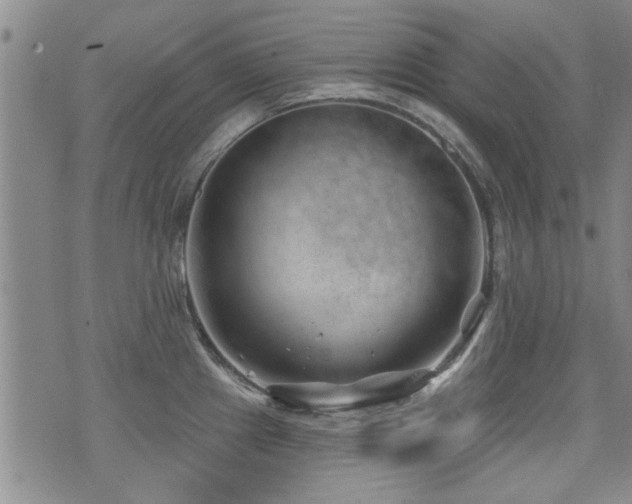 X0000072941241200607211053