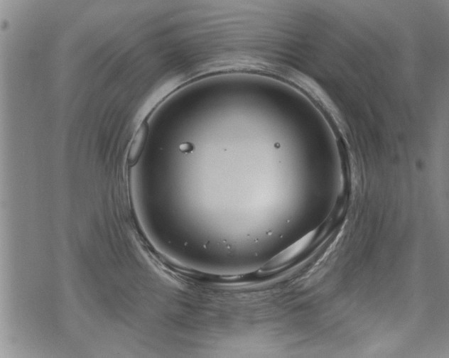 X0000072941242200607211054